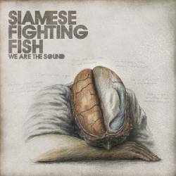 Siamese Fighting Fish : We Are the Sound